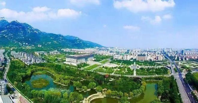 泰安市岱岳区行政审批服务局聚焦“一二三”推动法治政府建设走深走实