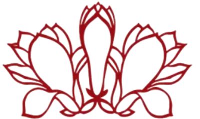 叮咚请接收你的寒假生活指南