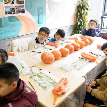 从种子到果实探索奇妙的南瓜星球(图3)