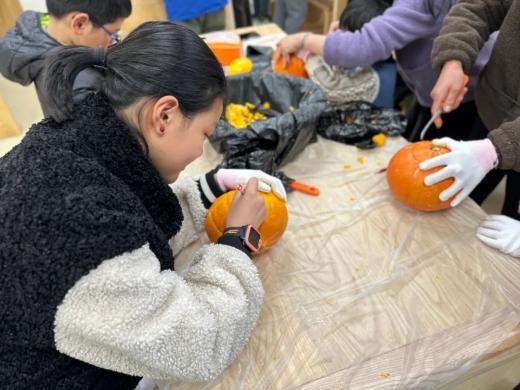 从种子到果实探索奇妙的南瓜星球(图7)