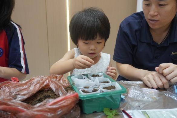 从种子到果实探索奇妙的南瓜星球(图9)
