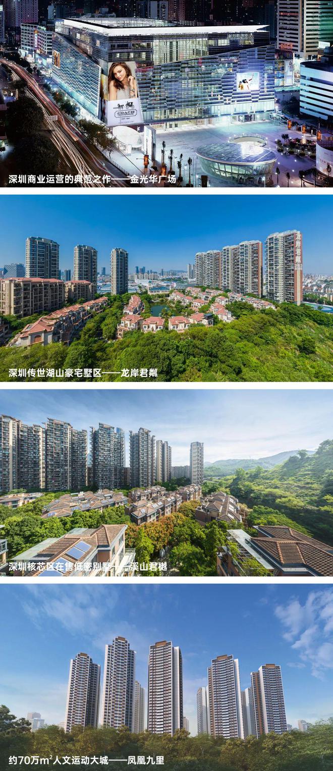 2025『溪山禾玺首府』售楼处网站欢迎您深圳房天下(图10)