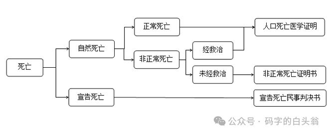 一文搞懂死亡证明