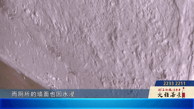 九游体育：佛山一街坊与霉菌“同住”十年！疑邻居墙面渗水导致对方回应：着实有心无力(图3)