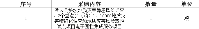 省修复防治院盐边县斜坡地质灾害隐患风险详查、3个重点乡(镇)1:10000地质灾害精细化调查和风险双控试点项目电子围栏集成服务项目遴选公告(图2)
