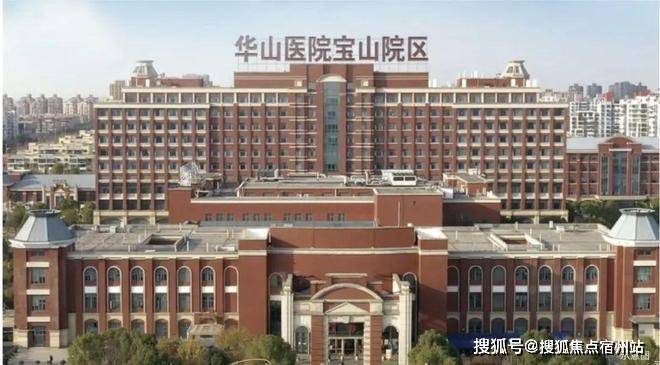 中环麓岛│中环麓岛(营销中心)-2026销售中心(售楼处)-楼盘欢迎您-价格户型地址环境配套交房时间电话(图19)