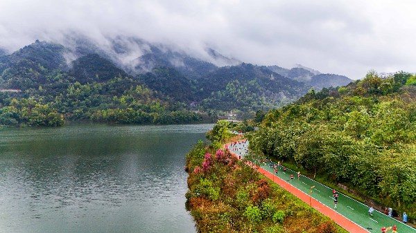 6000名跑者汇龙乡2026重庆铜梁马拉松鸣枪开跑(图2)