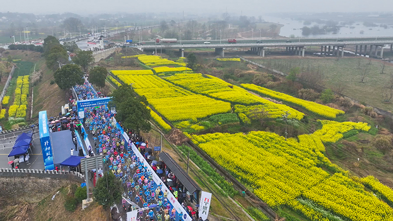 九游体育网站:2026太湖花亭湖半程马拉松鸣枪开跑(图2)