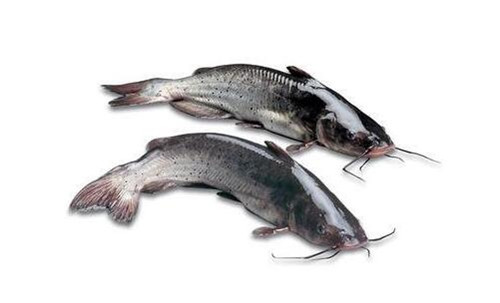 印章软件制图六款好用的印章软件推荐(图1)