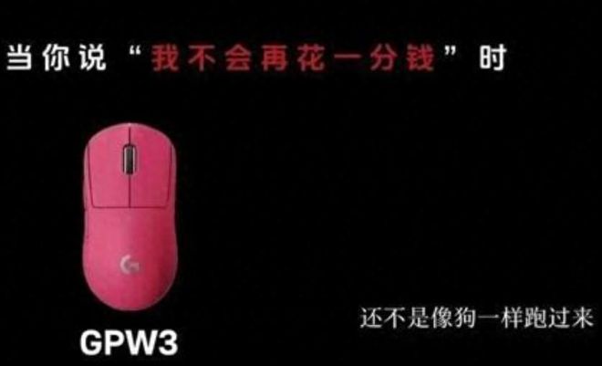 又一外资品牌暴雷骂中国消费者像狗道歉敷衍还甩锅临时工(图1)