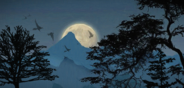 如何保护个人信息安全?(图1)