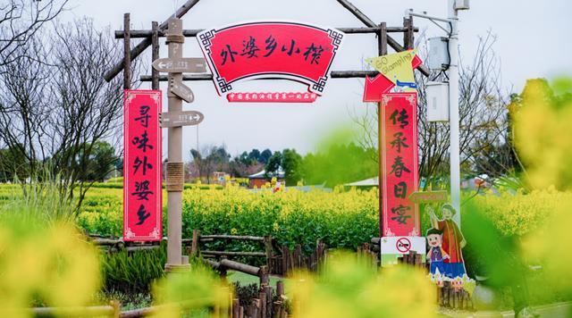 名额告急！成都赴约丨金龙鱼外婆乡小榨菜籽油全国首场夜间油菜花节来了(图2)