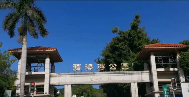 九游体育网站：热搜霸榜红动全城｜碧海玖号花园售楼处臻品人居时代峯层(图9)