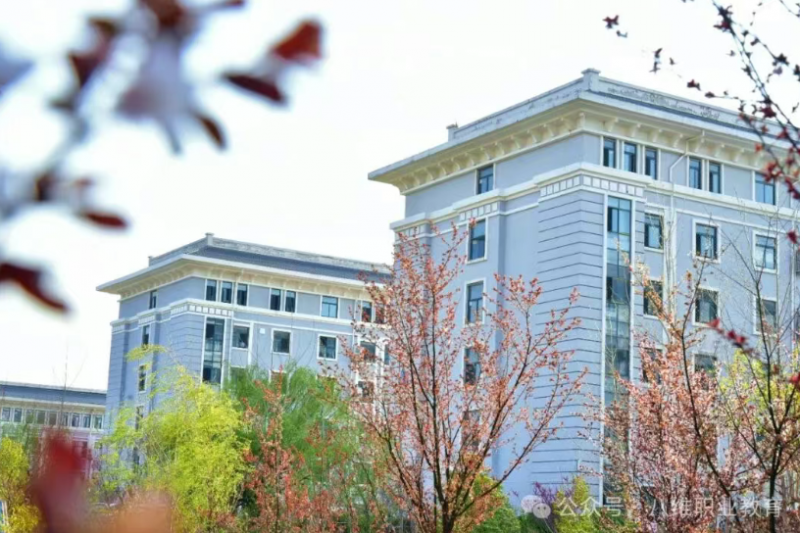 构建技术视野：八维职业学校带来行业趋势与专业选择指南(图4)